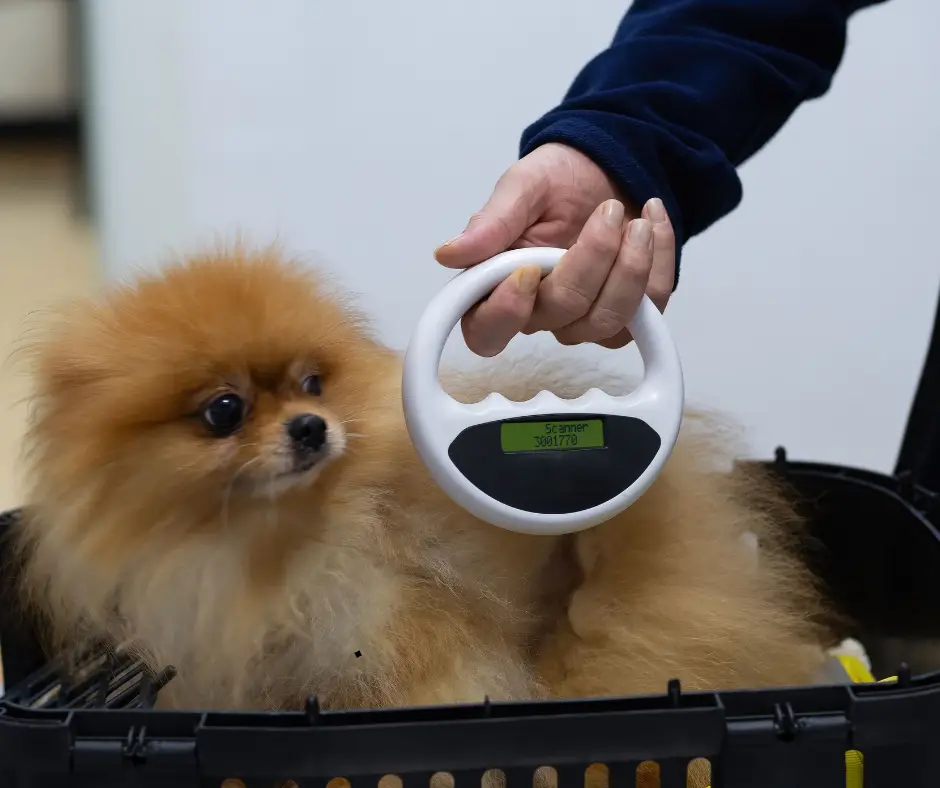 microchipping